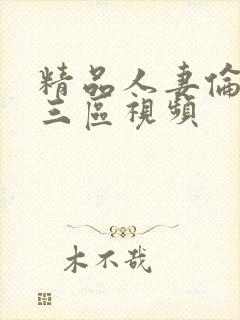 精品人妻伦一二三区视频