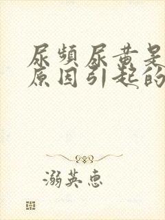 尿频尿黄是什么原因引起的