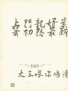 上门龙婿叶辰,萧初然最新版封面