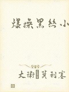 爆操黑丝小骚货