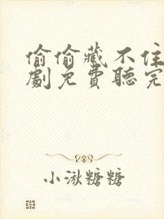 偷偷藏不住广播剧免费听完整版