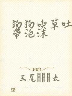 狗狗吃草吐黄水带泡沫