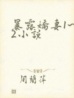 暴露娇妻1~12小说封面