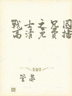 战士之兄国语版高清免费播放