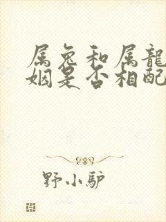 属兔和属龙的婚姻是否相配封面