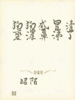 狗狗感冒清鼻涕变浓鼻涕了