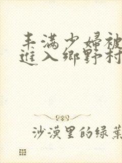 丰满少妇被猛烈进入乡野村妇