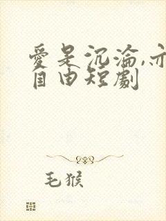 爱是沉沦,亦是自由短剧封面