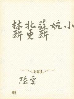 林北苏婉小说最新更新
