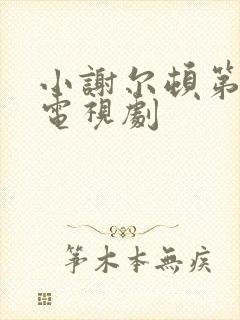 小谢尔顿第一季电视剧封面