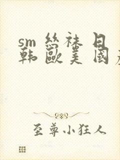 sm 丝袜 日韩 欧美 国产