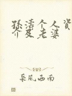 孙涛个人资料简介及老婆