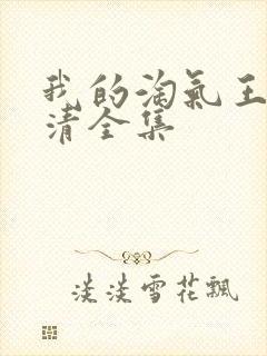 我的淘气王子高清全集