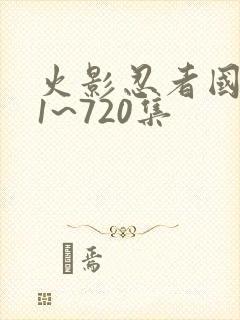 火影忍者国语版1~720集