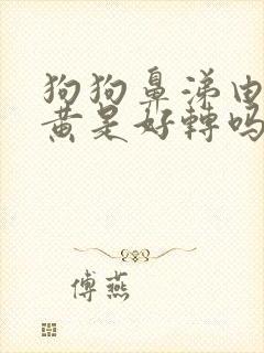 狗狗鼻涕由清变黄是好转吗