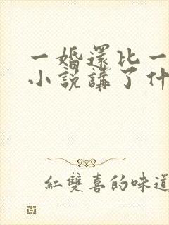 一婚还比一婚高小说讲了什么