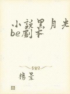 小说黑月光拿稳be剧本封面