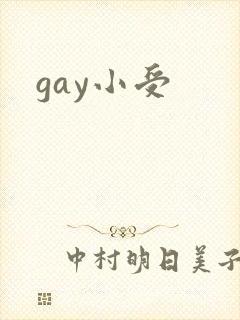 gay小受
