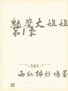 魅魔大姐姐动漫第1季