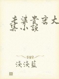 老婆贵密大交换集小说封面