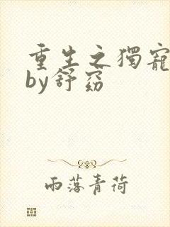 重生之独宠男妻by舒窈