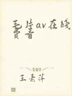 毛片av在线免费看