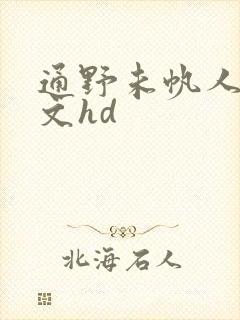 通野未帆人妻中文hd