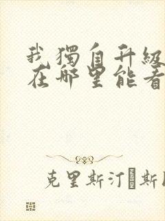 我独自升级动漫在哪里能看