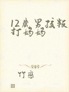 12岁男孩叛逆打妈妈