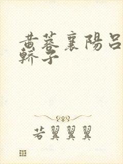 黄蓉襄阳吕文德轿子