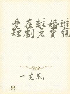 爱在离婚进行时短剧免费观看全集