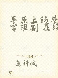 平原上的摩西 电视剧 在线观看