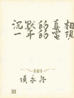 沉默的真相是哪一年的电视剧