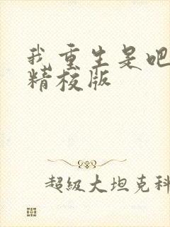 我重生是吧程逐精校版