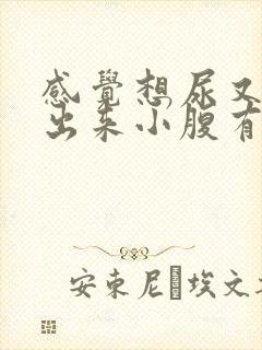 感觉想尿又尿不出来小腹有下坠感