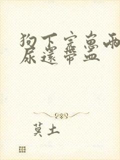 狗下完崽两个月尿还带血