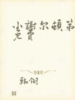 小谢尔顿第一季免费