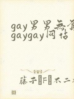 gay男男无套gaygay网站