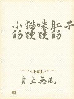 小猫咪肚子鼓鼓的硬硬的