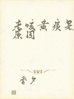 老咳黄痰是什么原因