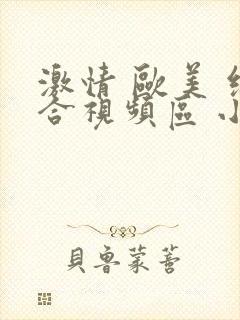 激情 欧美 综合视频区 小说区