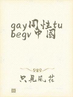 gay同性tubegv中国