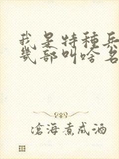 我是特种兵一共几部叫啥名