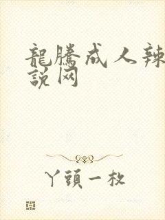 龙腾成人辣文小说网
