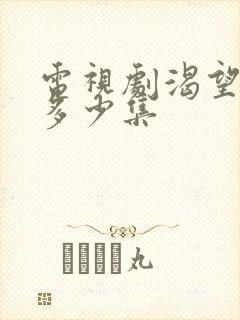 电视剧渴望总共多少集封面