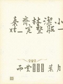 秦齐林洁小说txt_完整版—在线阅读共1封面