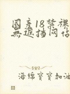 国产18禁裸体无遮挡网站