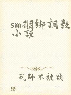 sm捆绑调教女小说