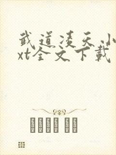 武道凌天小说txt全文下载