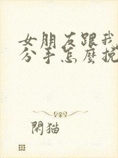 女朋友跟我提出分手怎么挽回